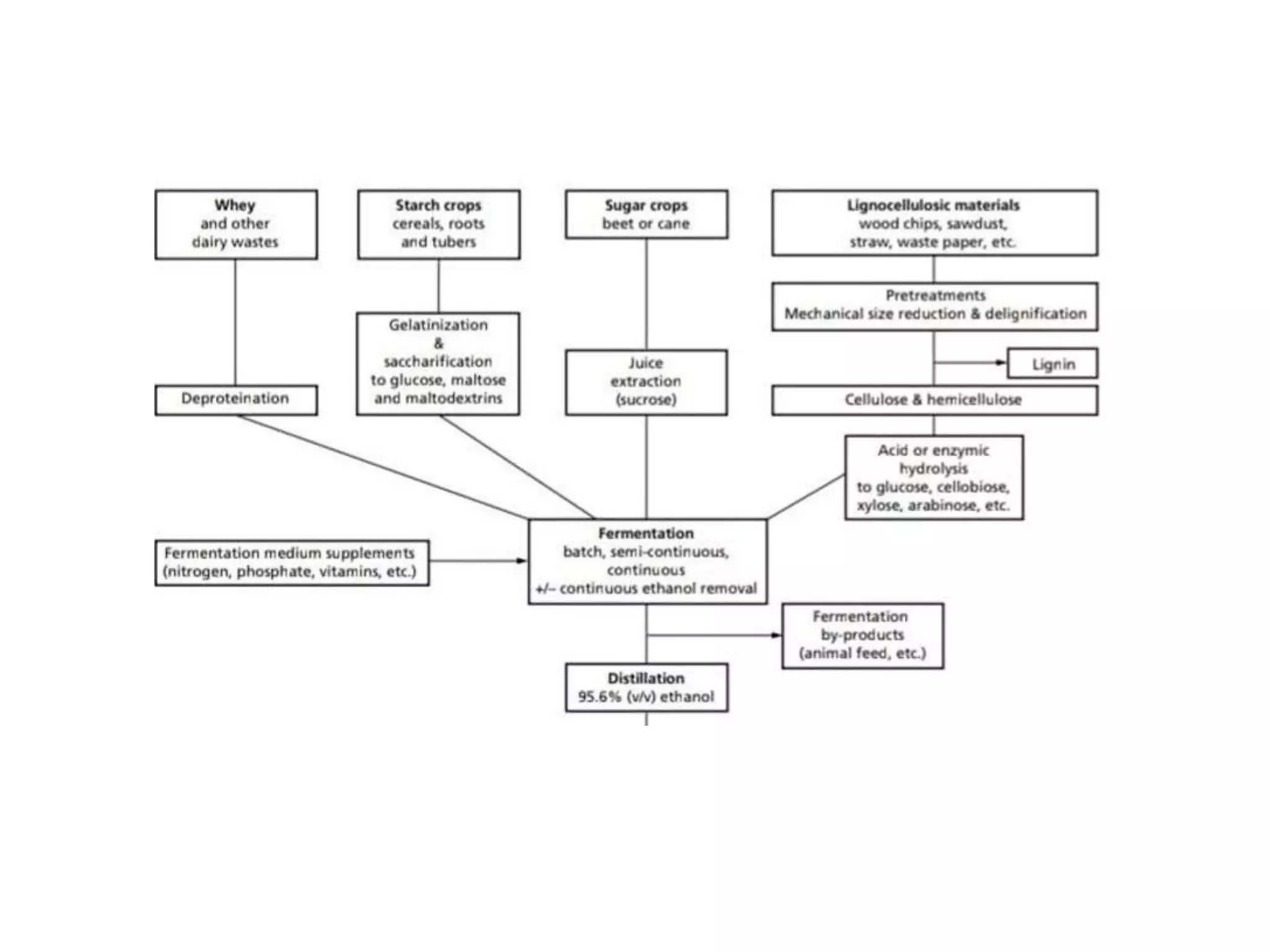 Production of alcohol | PPTX