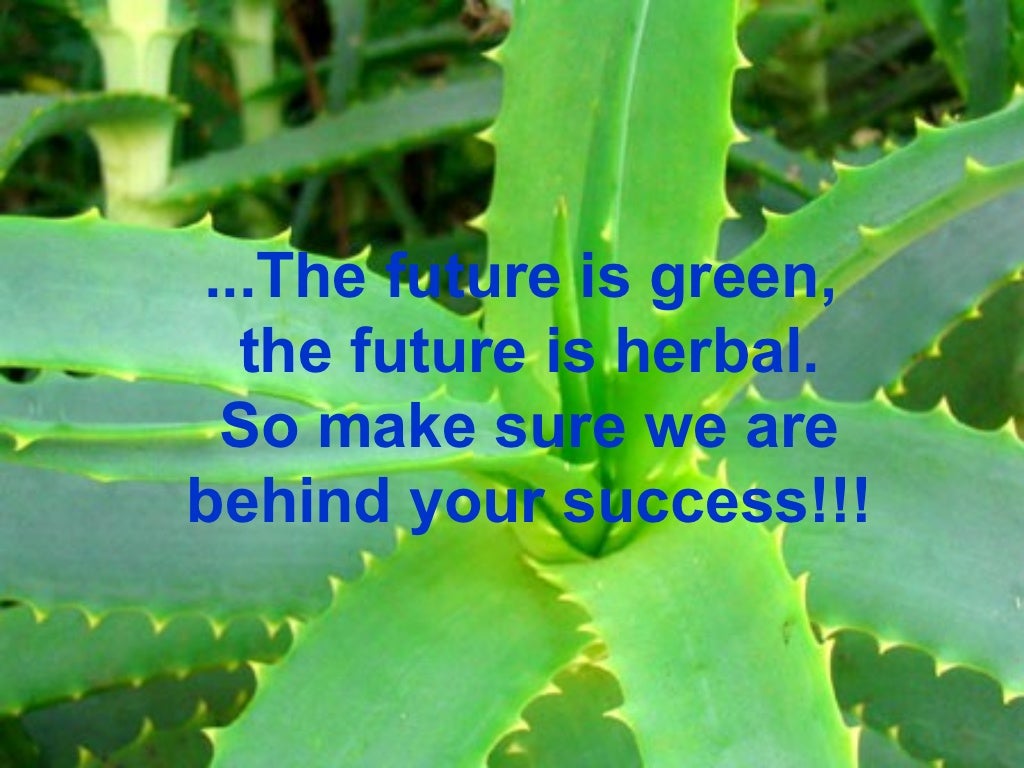 Production Of Aloe Vera