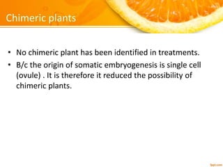 Production of autotetraploid citrus plant using active | PDF