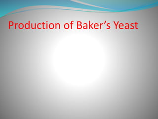 Production of Baker’s Yeast
 