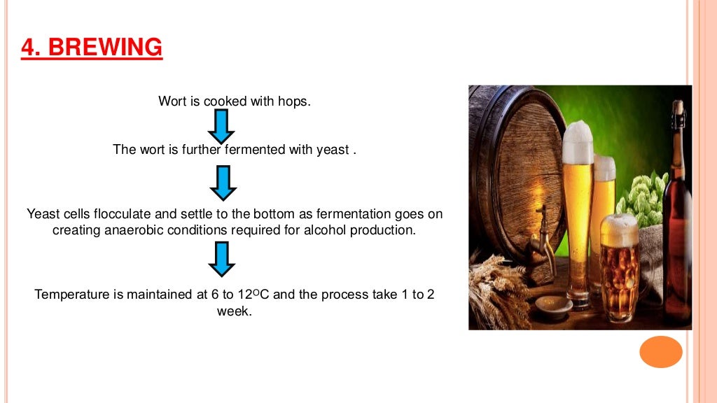 Production of beer