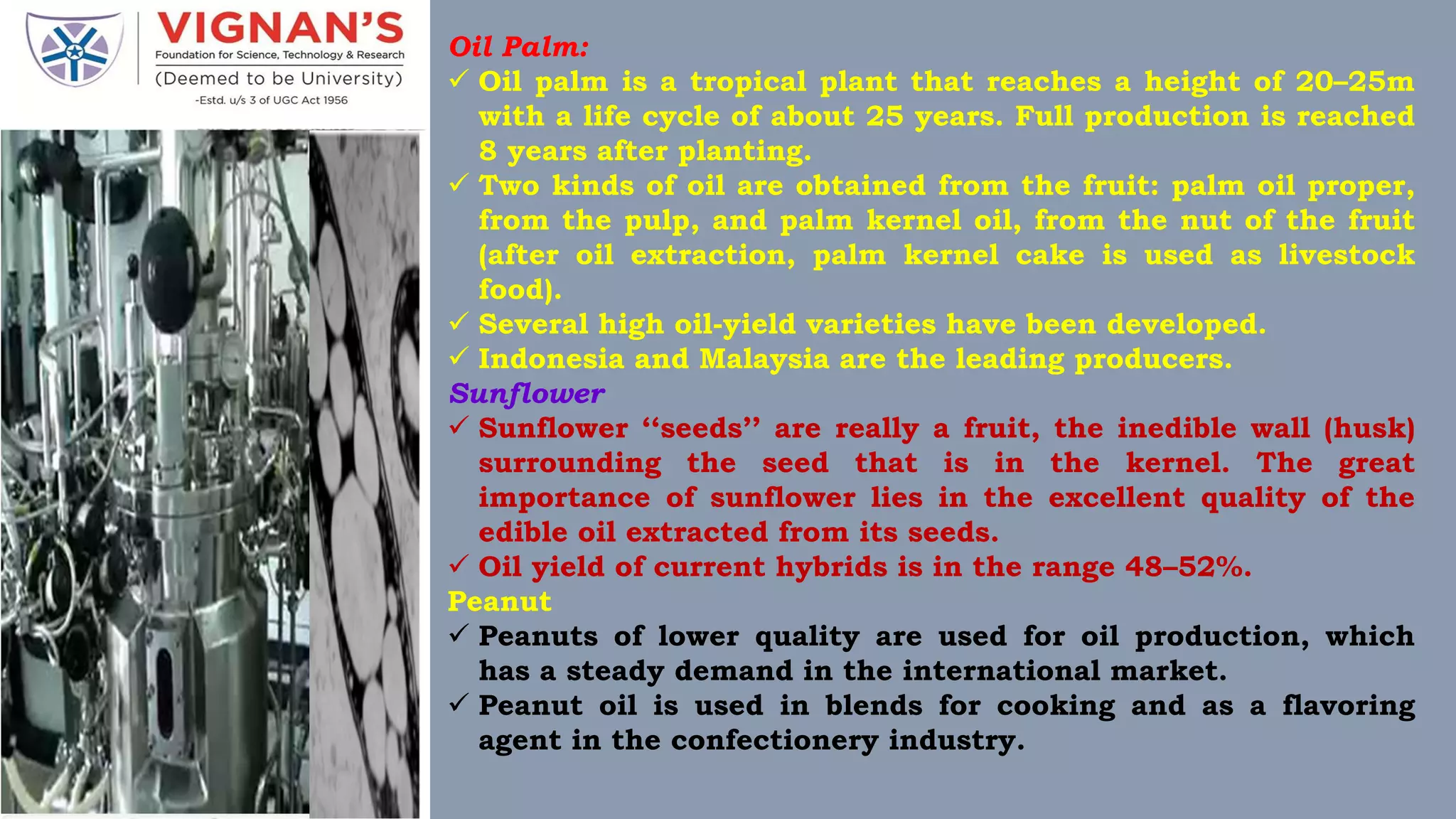 Oil Palm:
 Oil palm is a tropical plant that reaches a height of 20–25m
with a life cycle of about 25 years. Full production is reached
8 years after planting.
 Two kinds of oil are obtained from the fruit: palm oil proper,
from the pulp, and palm kernel oil, from the nut of the fruit
(after oil extraction, palm kernel cake is used as livestock
food).
 Several high oil-yield varieties have been developed.
 Indonesia and Malaysia are the leading producers.
Sunflower
 Sunflower ‘‘seeds’’ are really a fruit, the inedible wall (husk)
surrounding the seed that is in the kernel. The great
importance of sunflower lies in the excellent quality of the
edible oil extracted from its seeds.
 Oil yield of current hybrids is in the range 48–52%.
Peanut
 Peanuts of lower quality are used for oil production, which
has a steady demand in the international market.
 Peanut oil is used in blends for cooking and as a flavoring
agent in the confectionery industry.
 