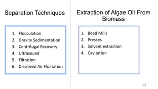 Production of biodiesel from algae | PPTX
