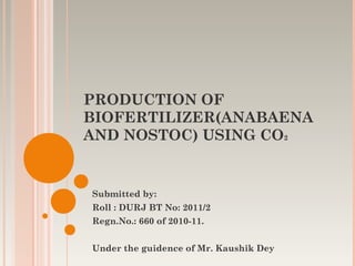PRODUCTION OF
BIOFERTILIZER(ANABAENA
AND NOSTOC) USING CO2
Submitted by:
Roll : DURJ BT No: 2011/2
Regn.No.: 660 of 2010-11.
Under the guidence of Mr. Kaushik Dey
 