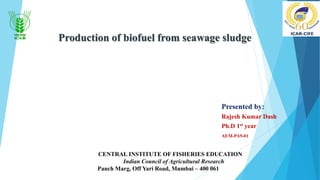 Production of biofuel from seawage sludge
Presented by:
Rajesh Kumar Dash
Ph.D 1st year
AEM-PA9-01
CENTRAL INSTITUTE OF FISHERIES EDUCATION
Indian Council of Agricultural Research
Panch Marg, Off Yari Road, Mumbai – 400 061
 