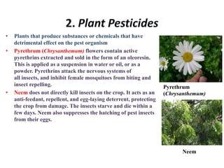 Production of biopestcides | PPTX