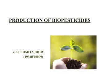 PRODUCTION OF BIOPESTICIDES
 SUSHMITA DHIR
(19MBT0009)
 