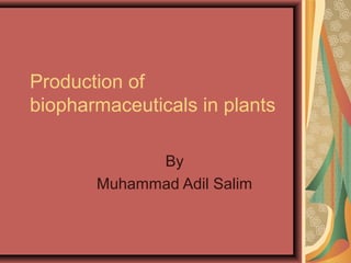 Production of
biopharmaceuticals in plants
By
Muhammad Adil Salim

 