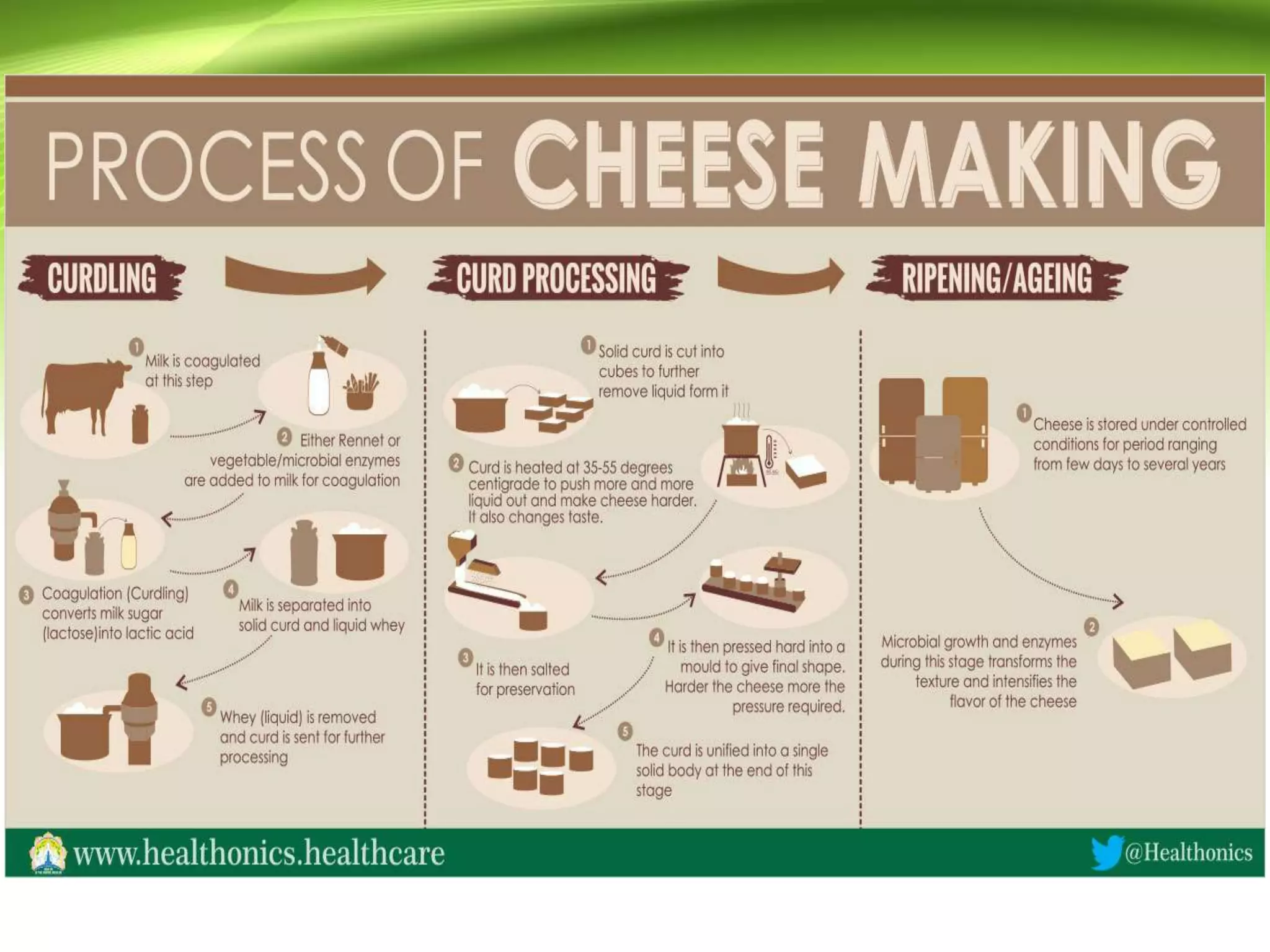 Production of cheese | PPTX