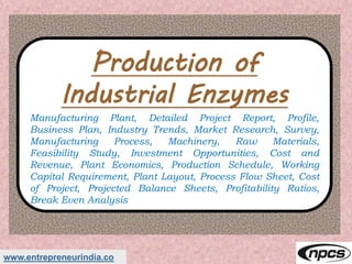 www.entrepreneurindia.co
Production of
Industrial Enzymes
Manufacturing Plant, Detailed Project Report, Profile,
Business Plan, Industry Trends, Market Research, Survey,
Manufacturing Process, Machinery, Raw Materials,
Feasibility Study, Investment Opportunities, Cost and
Revenue, Plant Economics, Production Schedule, Working
Capital Requirement, Plant Layout, Process Flow Sheet, Cost
of Project, Projected Balance Sheets, Profitability Ratios,
Break Even Analysis
 
