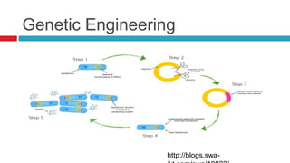 Production of insulin from microbial culture | PPTX