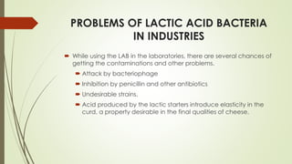 Production of lactic acid and acidic acid