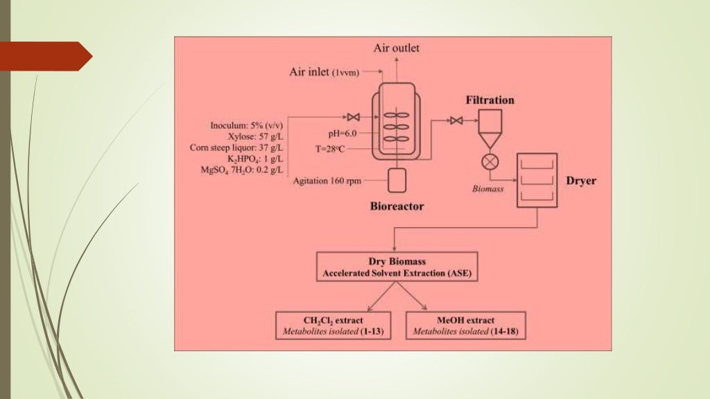 Production of lactic acid and acidic acid