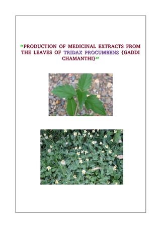 “PRODUCTION OF MEDICINAL EXTRACTS FROM
THE LEAVES OF TRIDAX PROCUMBENS
TRIDAX PROCUMBENS {GADDI
CHAMANTHI}”
 