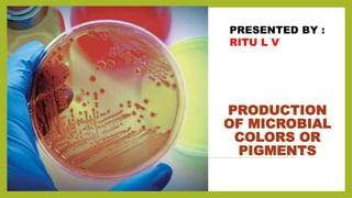 PRODUCTION
OF MICROBIAL
COLORS OR
PIGMENTS
PRESENTED BY :
RITU L V
 