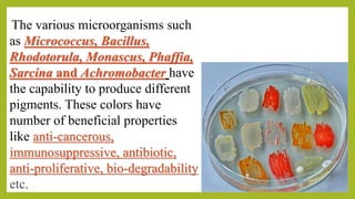 Production of microbial colors or pigments | PPTX