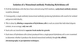 PRODUCTION OF MONOCLONAL AND POLYCLONAL ANTIBODIES PRESENTED BY SANJAY ...