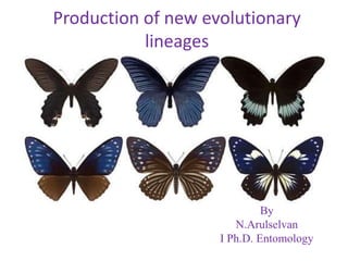 Production of new evolutionary
lineages
By
N.Arulselvan
I Ph.D. Entomology
 