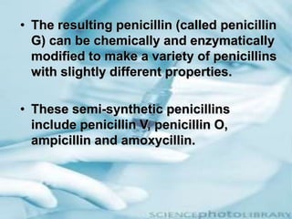 • The resulting penicillin (called penicillin
G) can be chemically and enzymatically
modified to make a variety of penicillins
with slightly different properties.
• These semi-synthetic penicillins
include penicillin V, penicillin O,
ampicillin and amoxycillin.
 