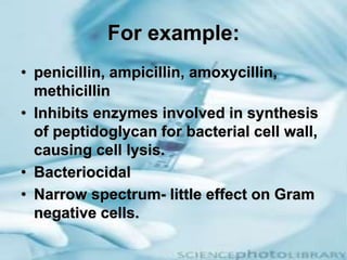 For example:
• penicillin, ampicillin, amoxycillin,
methicillin
• Inhibits enzymes involved in synthesis
of peptidoglycan for bacterial cell wall,
causing cell lysis.
• Bacteriocidal
• Narrow spectrum- little effect on Gram
negative cells.
 
