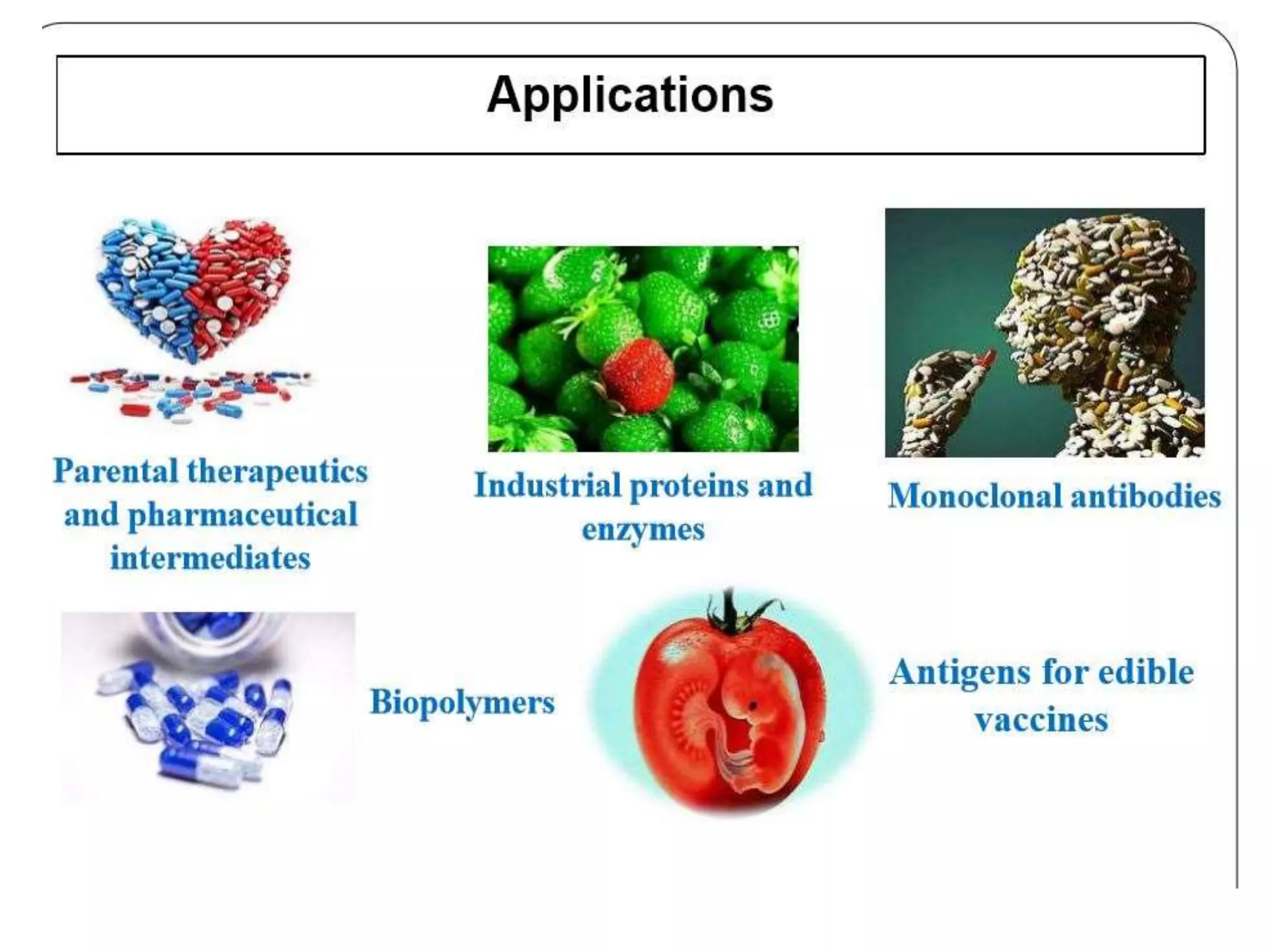 Production of therapeutic proteins in plants | PPTX