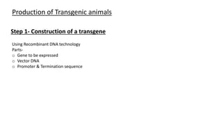 production of transgenic animals. pptx | PPTX