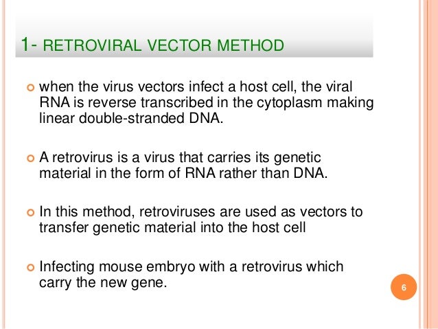 Production of transgenic farm animals
