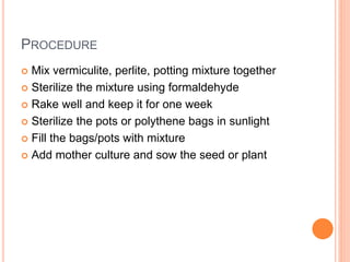 PROCEDURE
 Mix vermiculite, perlite, potting mixture together
 Sterilize the mixture using formaldehyde
 Rake well and keep it for one week
 Sterilize the pots or polythene bags in sunlight
 Fill the bags/pots with mixture
 Add mother culture and sow the seed or plant
 