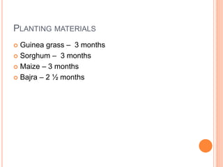 PLANTING MATERIALS
 Guinea grass – 3 months
 Sorghum – 3 months
 Maize – 3 months
 Bajra – 2 ½ months
 