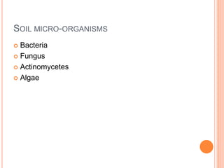 SOIL MICRO-ORGANISMS
 Bacteria
 Fungus
 Actinomycetes
 Algae
 