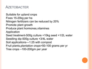 AZETOBACTER
Suitable for upland crops
Fixes 15-20kg per ha
Nitrogen fertilizers can be reduced by 20%
Promote plant growth
Produce plant hormones,vitamines
Application
Seed treatment-500g culture +10kg seed +1/2L water
Seedling dip-500g culture +3/4L water
Soil applications—1:25 with compost
Fruit plants,plantation crops=50-100 grams per yr
Tree crops –100-200gm per year
 