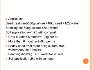  Application
Seed treatment-500g culture +10kg seed +1/2L water
Seedling dip-500g culture +3/4L water
Soil applications—1:25 with compost
 Crop duration 6 mnths=1-2kg per ha
 More than 6 months=2-4kg per ha
 Paddy-seed treat ment =2kg culture +60L
water+seed for 1 hectre
 Seedling dip=2kg +40L water for 20 min
 Soil application-2kg with compost
 