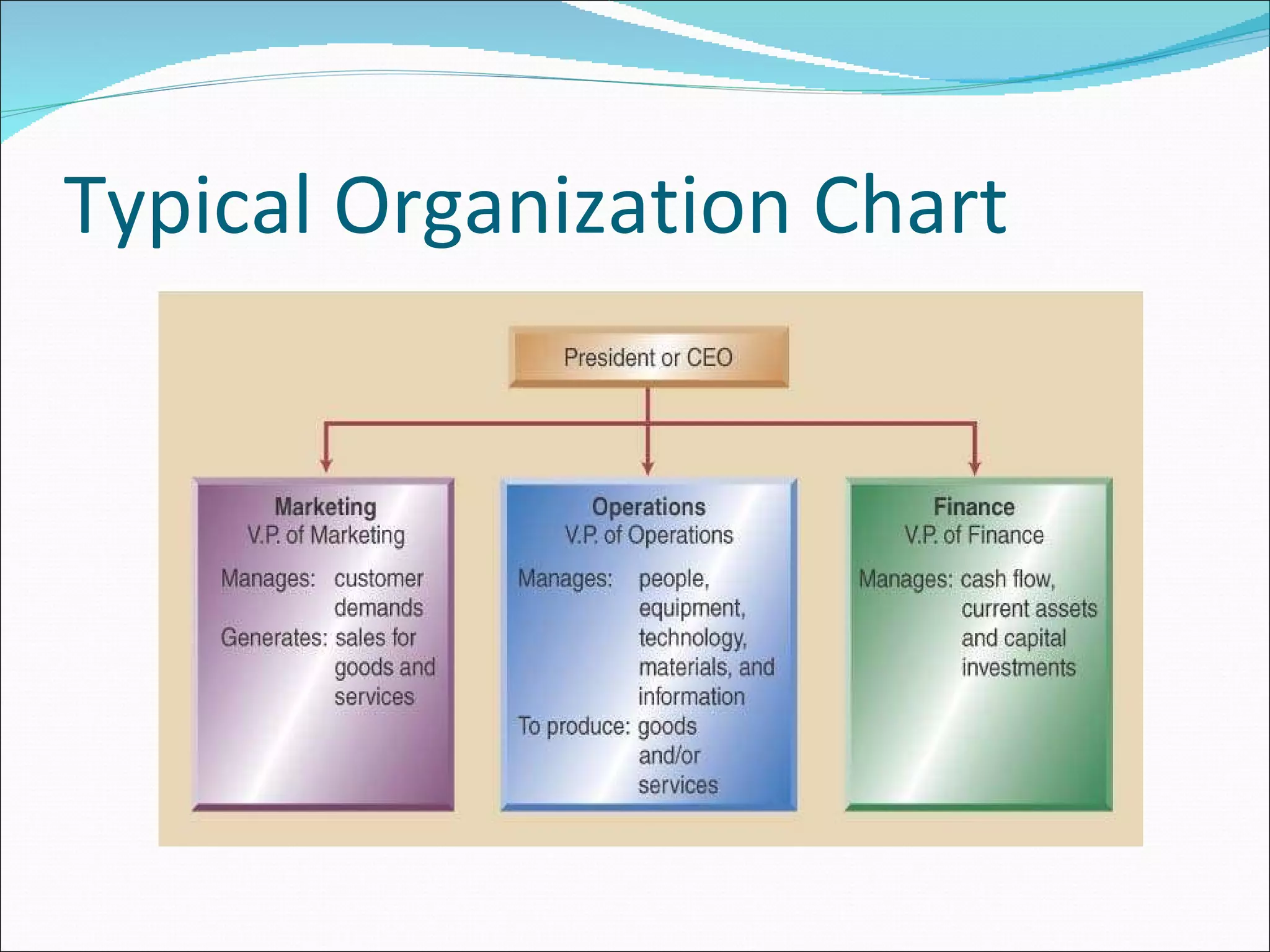 Typical Organization Chart 