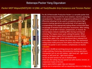 Production Packer | PPTX