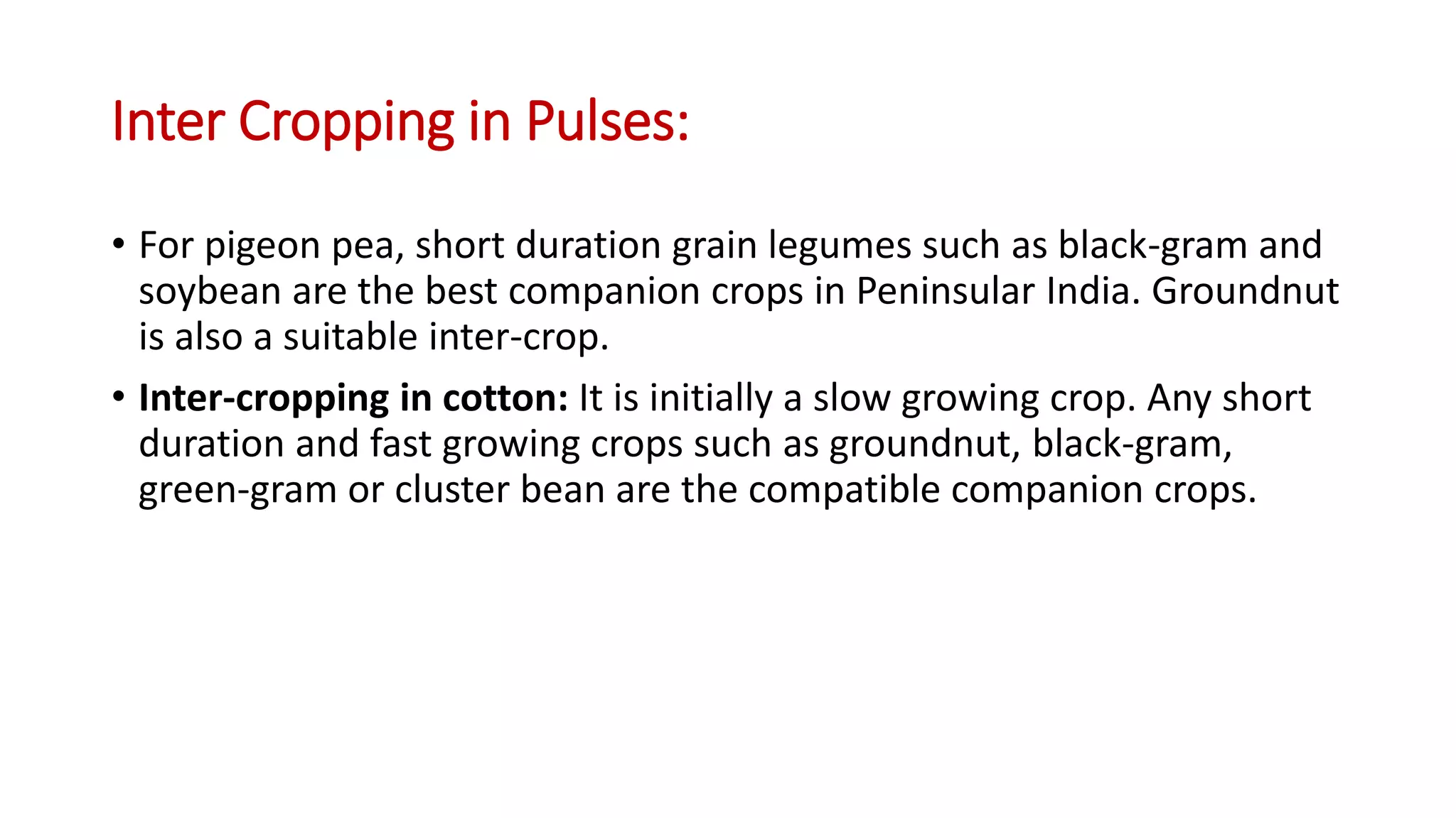 Inter Cropping in Pulses:
• For pigeon pea, short duration grain legumes such as black-gram and
soybean are the best companion crops in Peninsular India. Groundnut
is also a suitable inter-crop.
• Inter-cropping in cotton: It is initially a slow growing crop. Any short
duration and fast growing crops such as groundnut, black-gram,
green-gram or cluster bean are the compatible companion crops.
 
