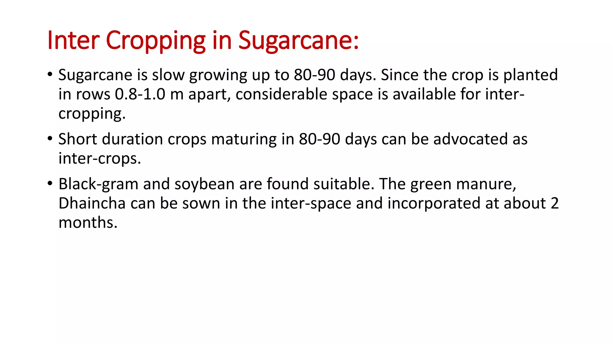 Inter Cropping in Sugarcane:
• Sugarcane is slow growing up to 80-90 days. Since the crop is planted
in rows 0.8-1.0 m apart, considerable space is available for inter-
cropping.
• Short duration crops maturing in 80-90 days can be advocated as
inter-crops.
• Black-gram and soybean are found suitable. The green manure,
Dhaincha can be sown in the inter-space and incorporated at about 2
months.
 