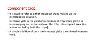 Component Crop:
• It is used to refer to either individual crops making up the
intercropping situation.
• Intercrop yield is the yield of a component crop when grown in
intercropping and expressed over the total intercropped area. (i.e.
area occupied by both the crops).
• A simple addition of both the intercrop yields a combined intercrop
yield.
 