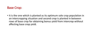 Base Crop:
• It is the one which is planted as its optimum sole crop population in
an intercropping situation and second crop is planted in between
rows of base crop for obtaining bonus yield from intercrop without
affecting base crop yield.
 