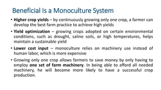 Beneficial Is a Monoculture System
• Higher crop yields – by continuously growing only one crop, a farmer can
develop the best farm practice to achieve high yields
• Yield optimization – growing crops adopted on certain environmental
conditions, such as drought, saline soils, or high temperatures, helps
maintain a sustainable yield
• Lower cost input – monoculture relies on machinery use instead of
human labor, which is more expensive
• Growing only one crop allows farmers to save money by only having to
employ one set of farm machinery. In being able to afford all needed
machinery, he will become more likely to have a successful crop
production.
 