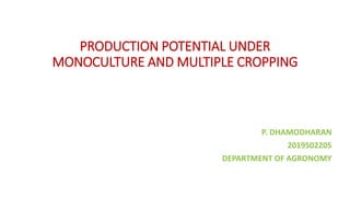 PRODUCTION POTENTIAL UNDER
MONOCULTURE AND MULTIPLE CROPPING
P. DHAMODHARAN
2019502205
DEPARTMENT OF AGRONOMY
 