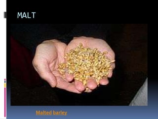 MALT
Malted barley
 