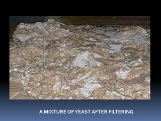 A MIXTURE OFYEAST AFTER FILTERING
 