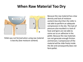 Production Process Wood Pellet From Wood Biomass | PDF