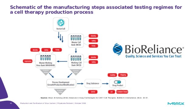 Production and purification of Viral vectors for gene and cell thera…