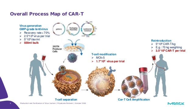 Production and purification of Viral vectors for gene and cell thera…