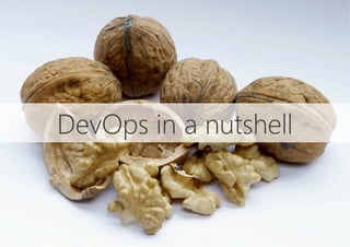 DevOps in a nutshell
 