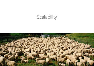 Scalability
 