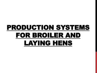 PRODUCTION SYSTEMS
FOR BROILER AND
LAYING HENS
 