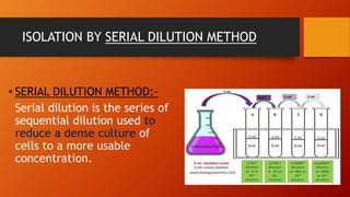 ISOLATION BY SERIAL DILUTION METHOD
• SERIAL DILUTION METHOD:-
Serial dilution is the series of
sequential dilution used to
reduce a dense culture of
cells to a more usable
concentration.
 