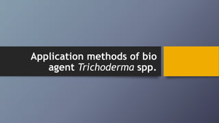 Application methods of bio
agent Trichoderma spp.
 